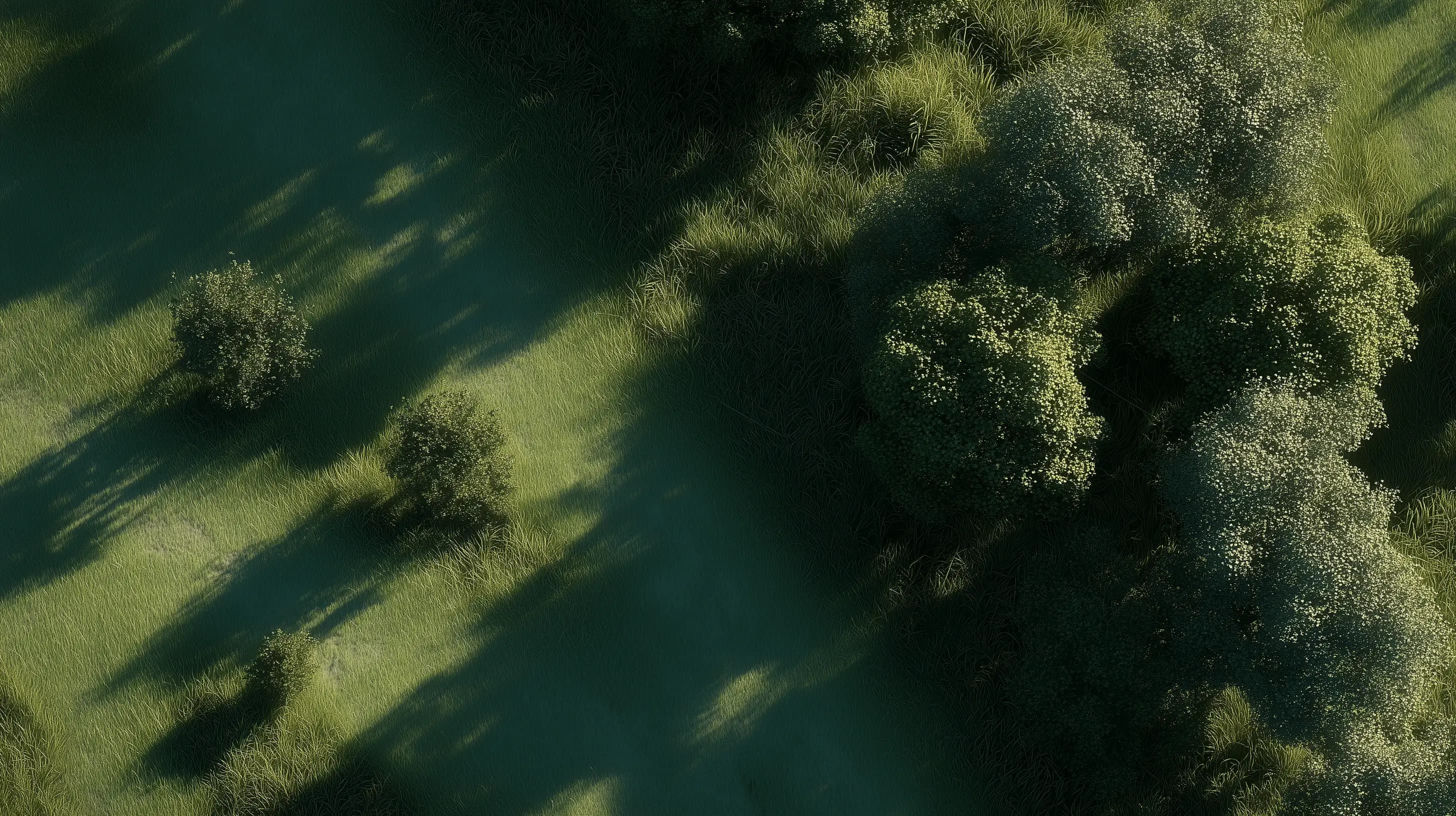 feature background image